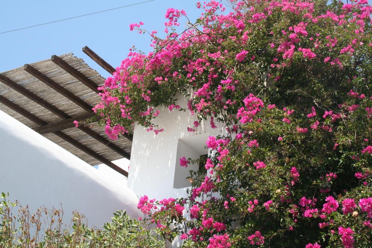 Petra Holiday Village Chora Exterior foto